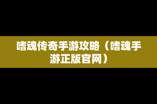 嗜魂传奇手游攻略（嗜魂手游正版官网）