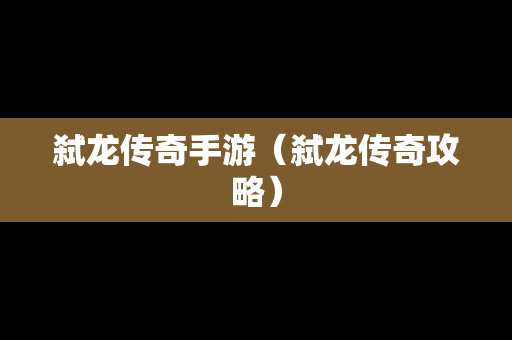 弑龙传奇手游（弑龙传奇攻略）