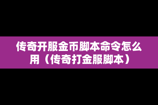 传奇开服金币脚本命令怎么用（传奇打金服脚本）