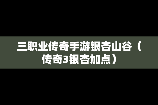 三职业传奇手游银杏山谷（传奇3银杏加点）