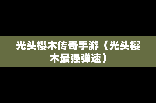 光头樱木传奇手游（光头樱木最强弹速）
