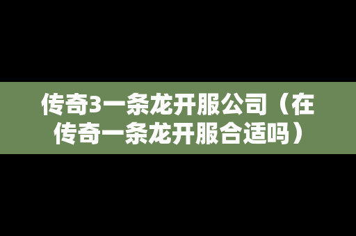 传奇3一条龙开服公司（在传奇一条龙开服合适吗）-第1张图片-传奇手游发布网