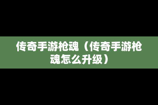 传奇手游枪魂（传奇手游枪魂怎么升级）