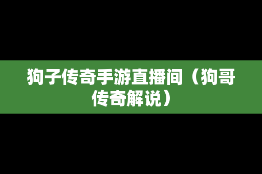 狗子传奇手游直播间（狗哥传奇解说）
