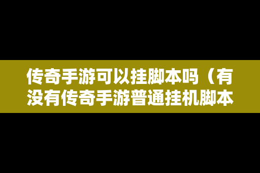 传奇手游可以挂脚本吗（有没有传奇手游普通挂机脚本）