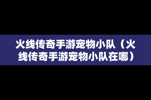 火线传奇手游宠物小队（火线传奇手游宠物小队在哪）